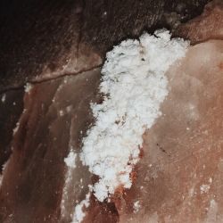 salt02